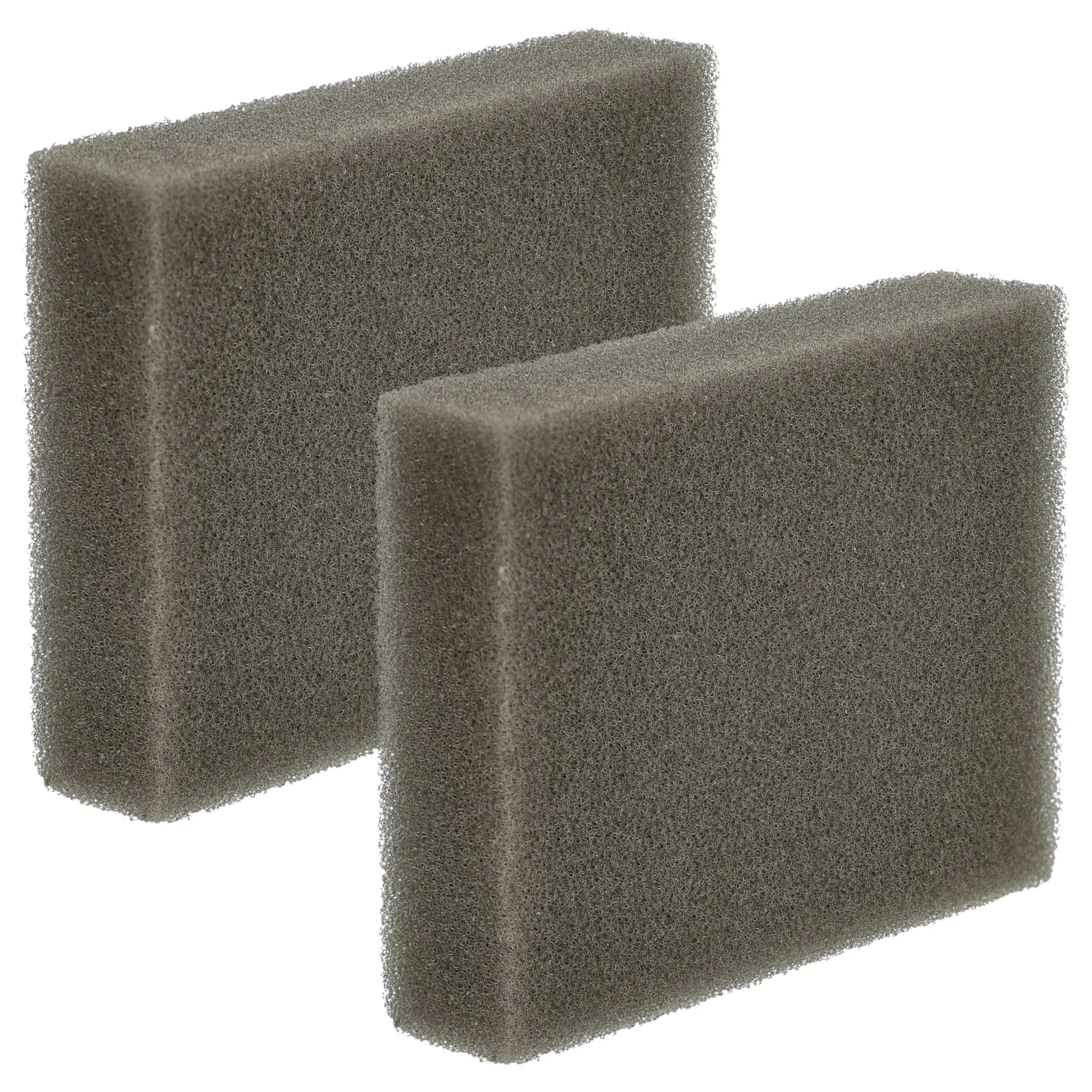 2x Filtre pour aspirateur Leifheit Regulus Aqua PowerVac - filtre éponge