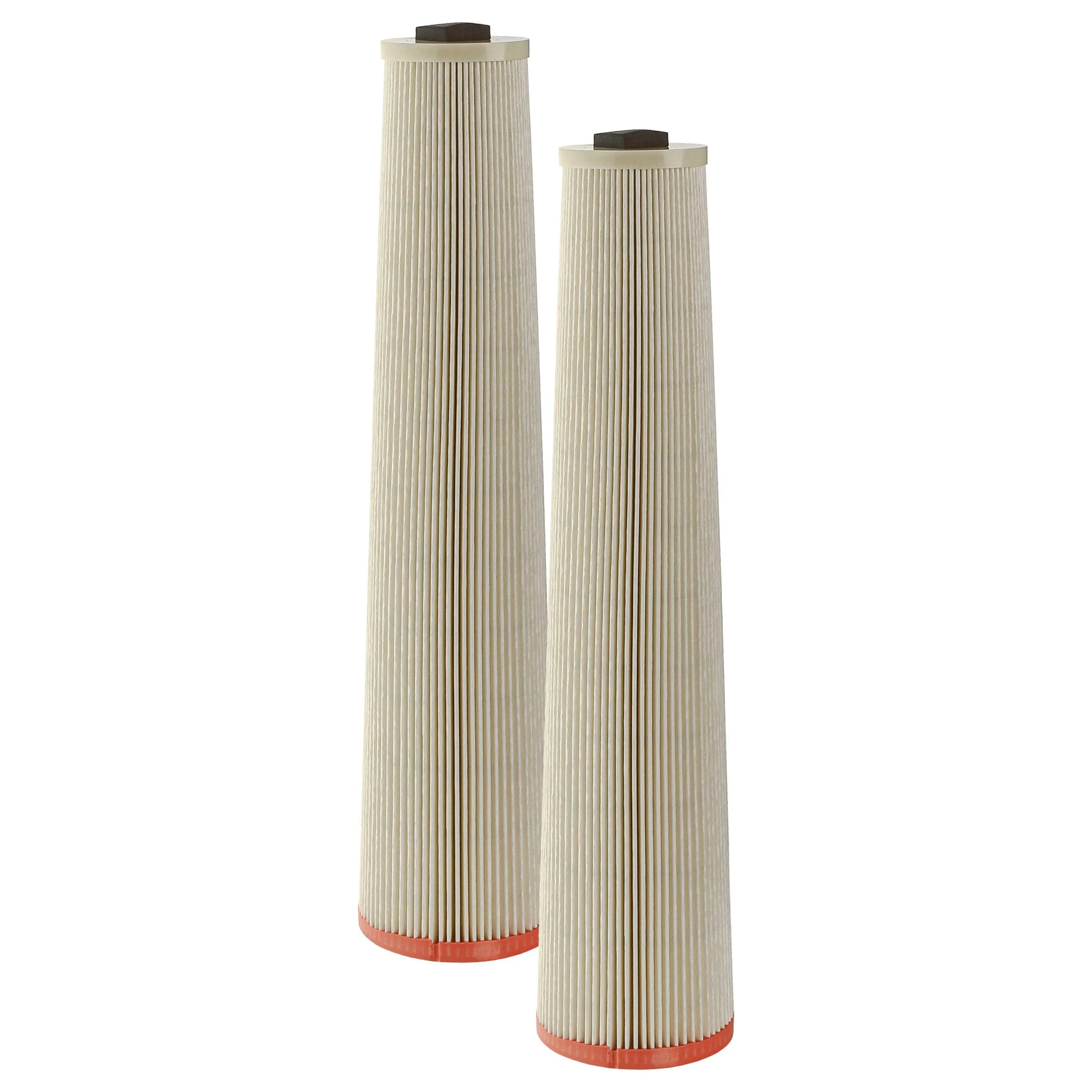 2x Filtres remplace Dustcontrol 42024 pour aspirateur - filtre HEPA HEPA 13