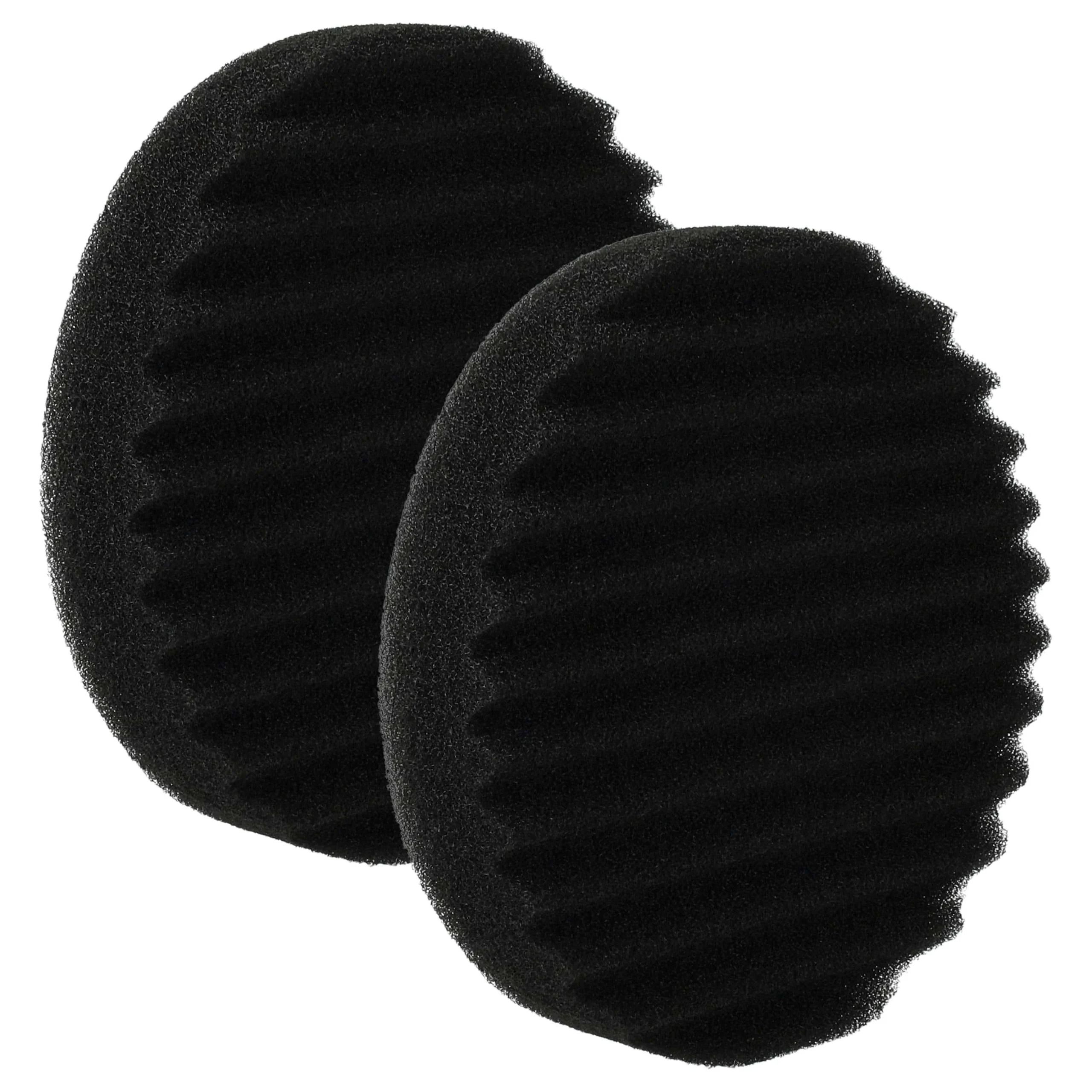 2x Filtre remplace Rowenta RS-RH5473 pour aspirateur - filtre en mousse