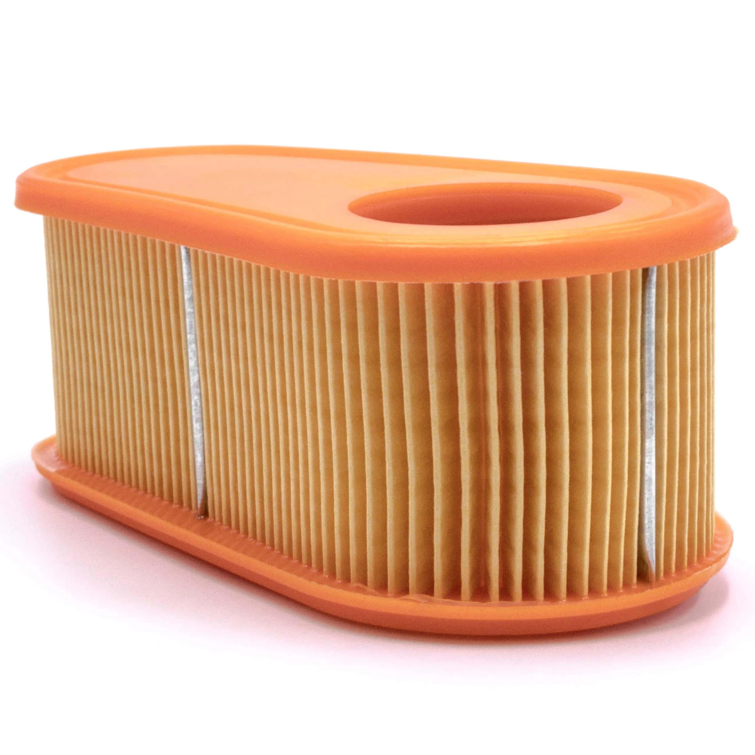 Filtre à air remplace Briggs & Stratton 005419, 796254, 795066 pour tondeuse Briggs & Stratton - Accessoires pour outils