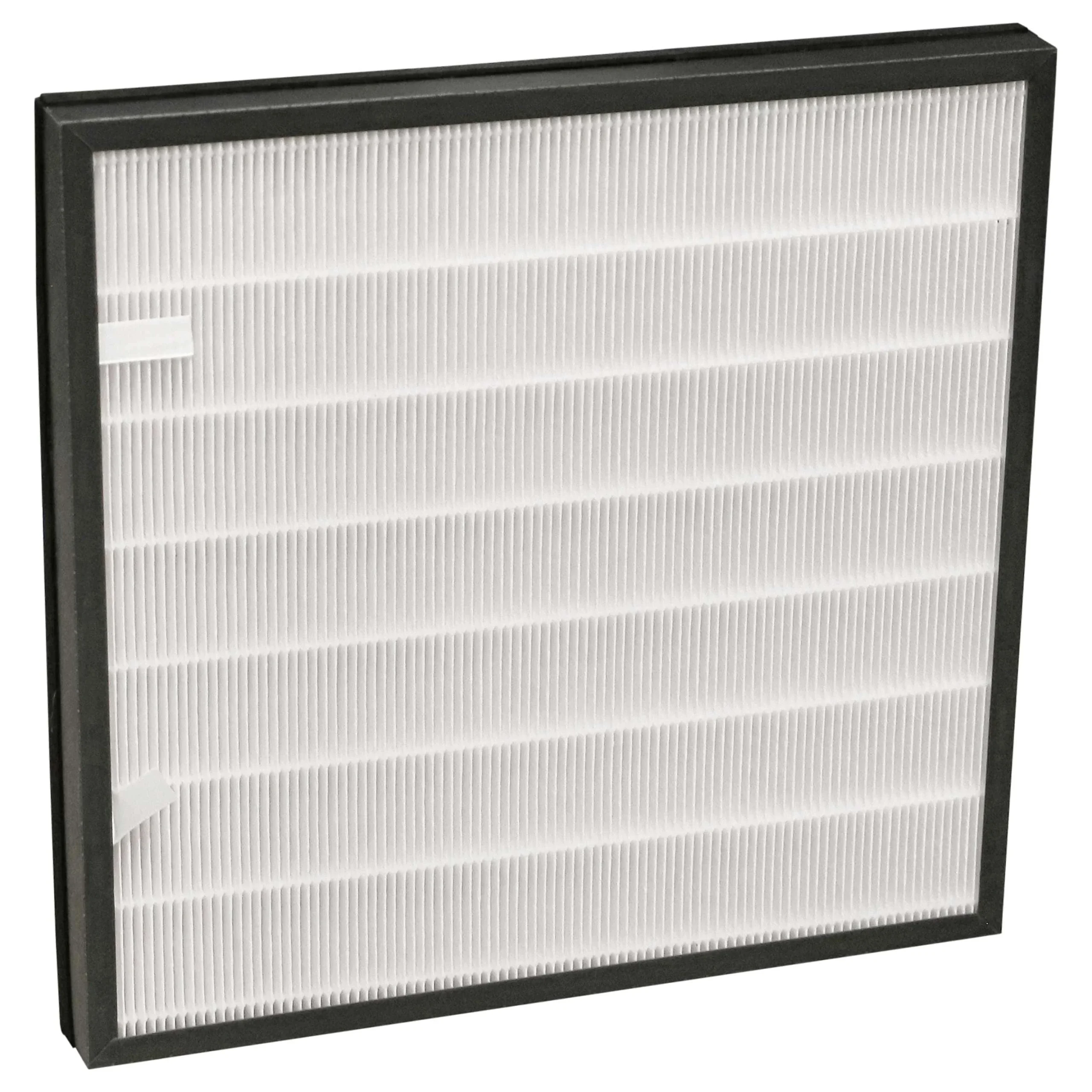 Filtre remplace Bielmeier 028001, 028.001 pour purificateur Bielmeier- HEPA (H11) + charbon actif