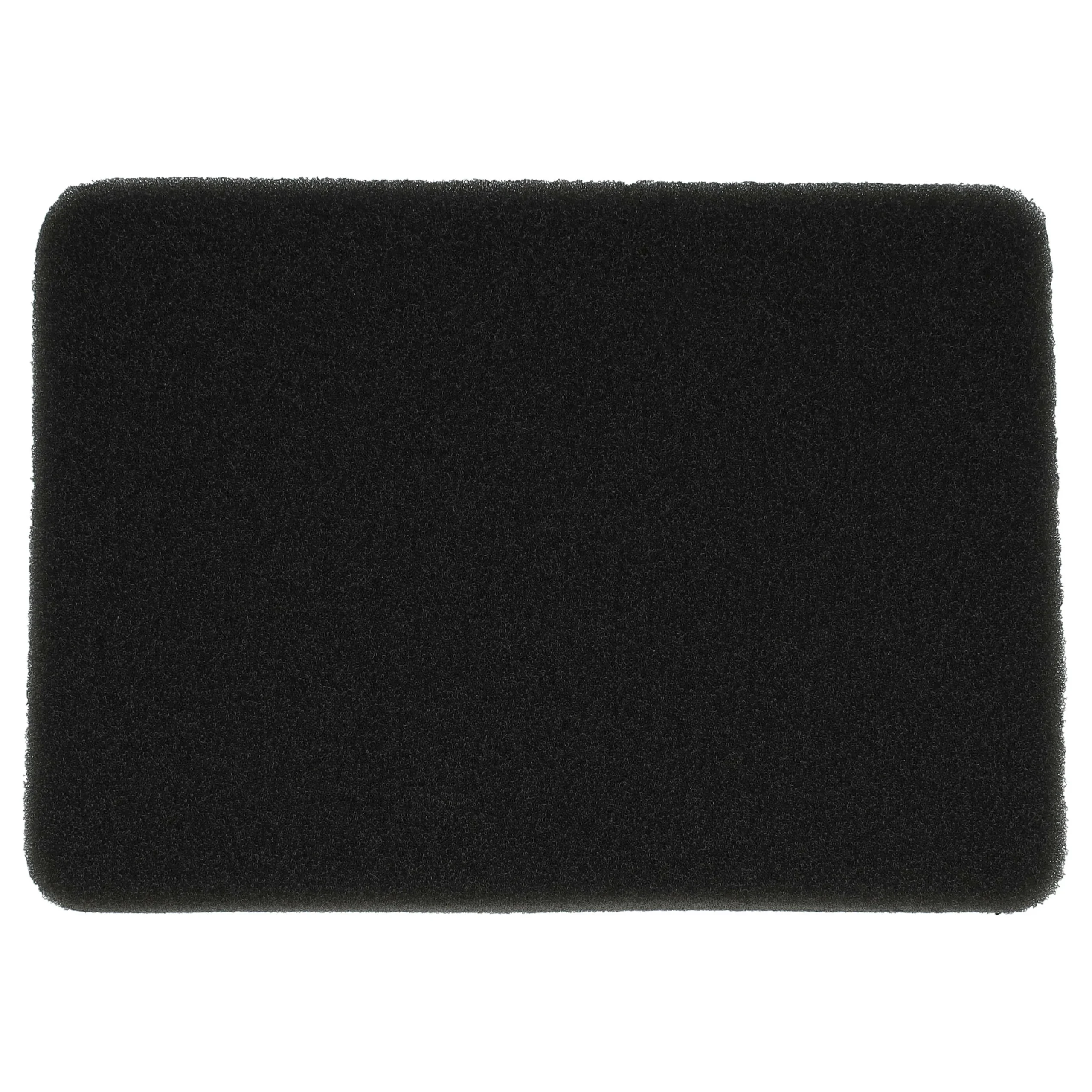 Filtre remplace Rowenta RS-RT4229 pour aspirateur - filtre en mousse