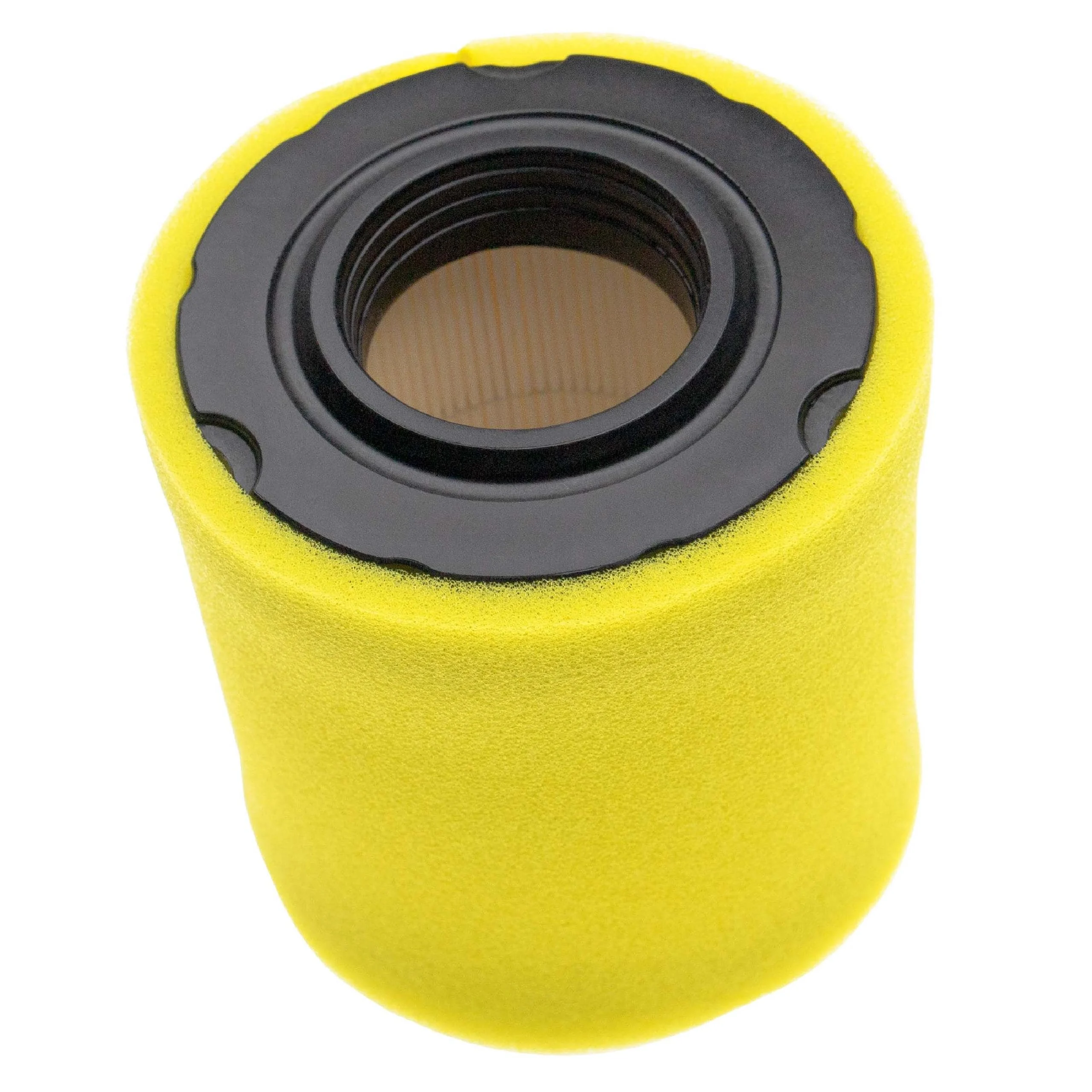 filtre mousse, filtre papier remplace Briggs & Stratton 798911, 591583 pour motoculteur - Accessoires pour outils