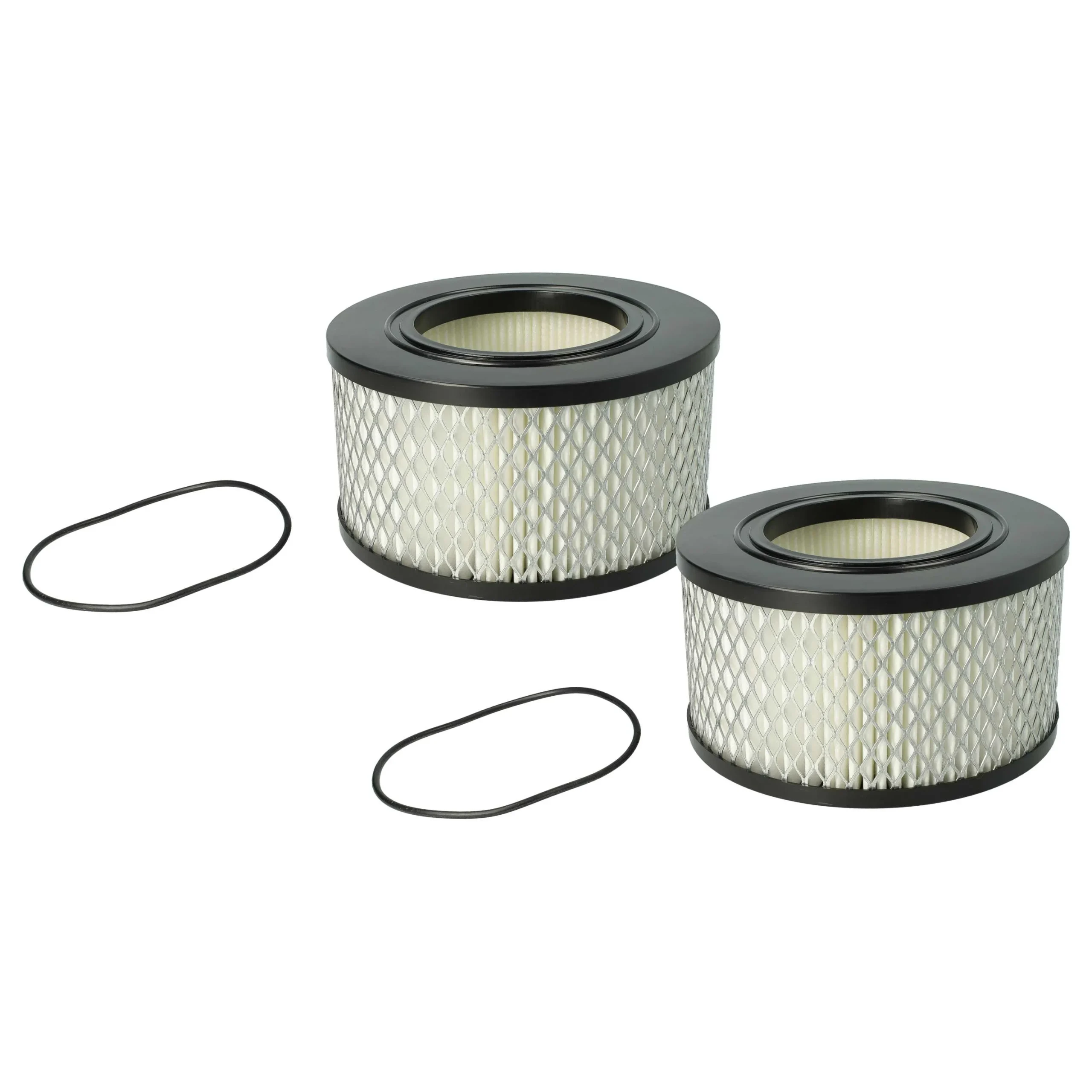 2x Filtres remplace Flex 445.126 pour aspirateur - filtre HEPA H-amiante