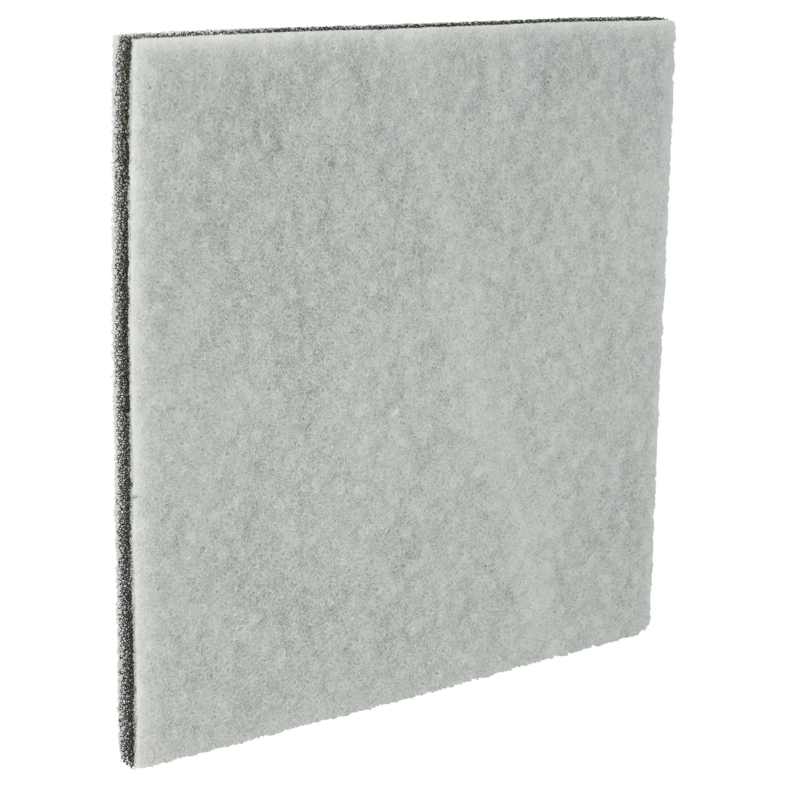 Filtre remplace Philips 482248010228, CP9260/01 pour aspirateur - Filtre de rechange, 13 x 13 cm