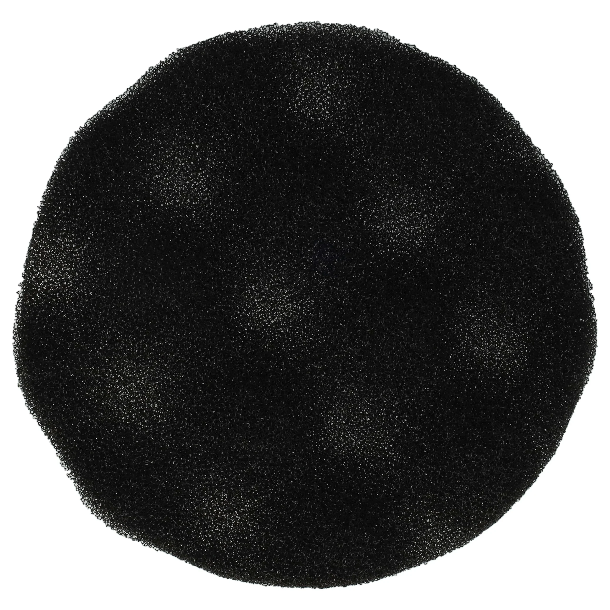 Filtre remplace Rowenta RS-RT2241 pour aspirateur - filtre en mousse