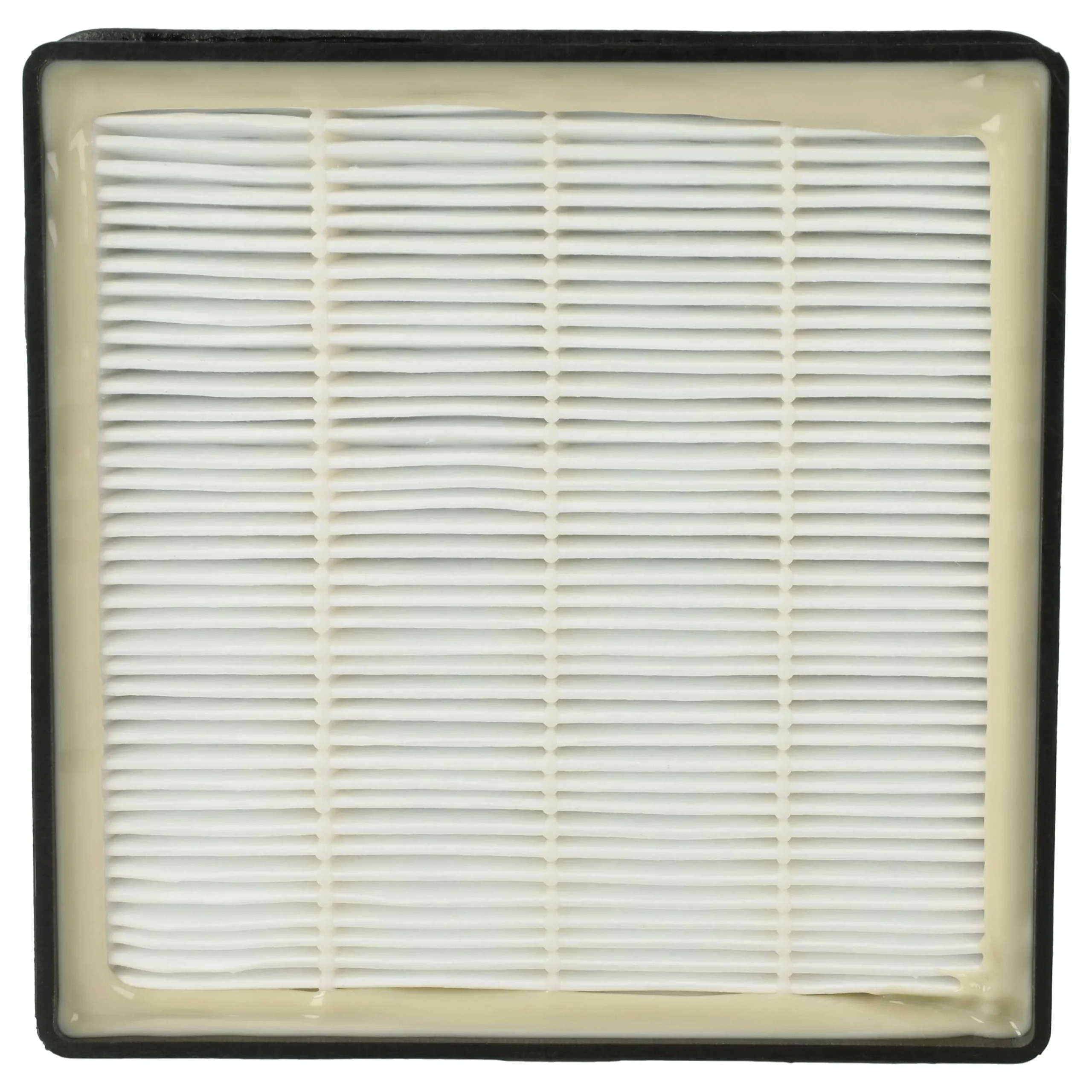 Filtre remplace Rowenta 2210016094, RS-RT3186 pour aspirateur - filtre HEPA
