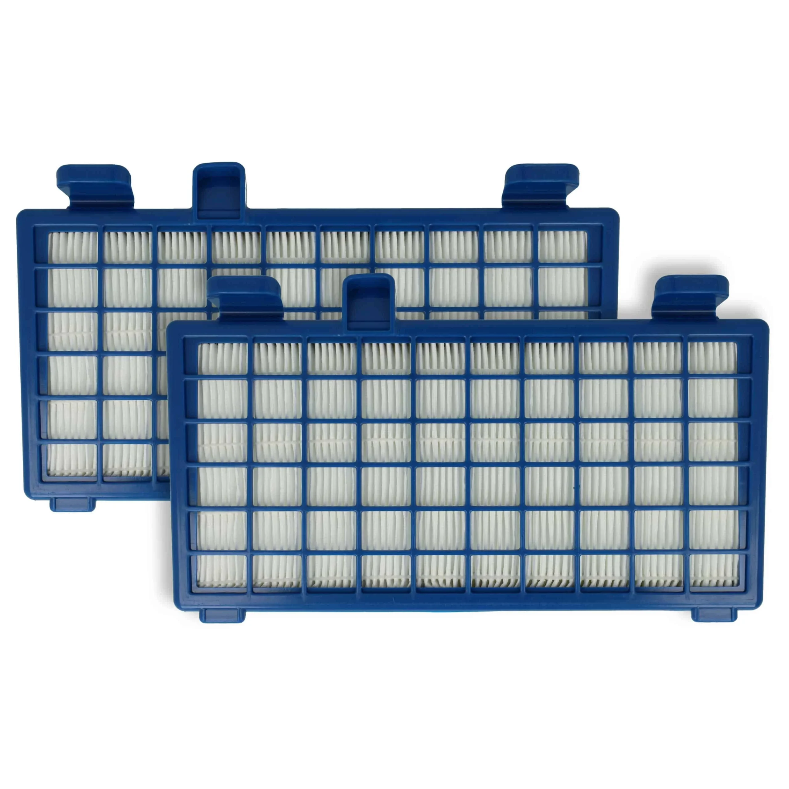 2x Filtres remplace Rowenta RS-RT3931, ZR902301 pour aspirateur - filtre HEPA