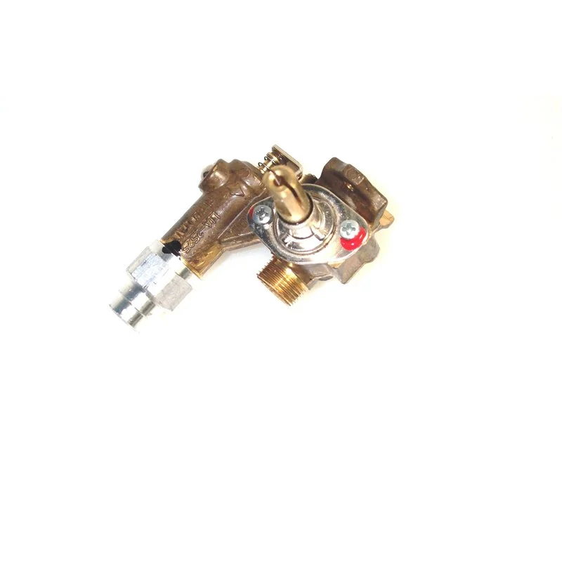 ROBINET GAZ RAPIDE BY -PASS foster - 9602318