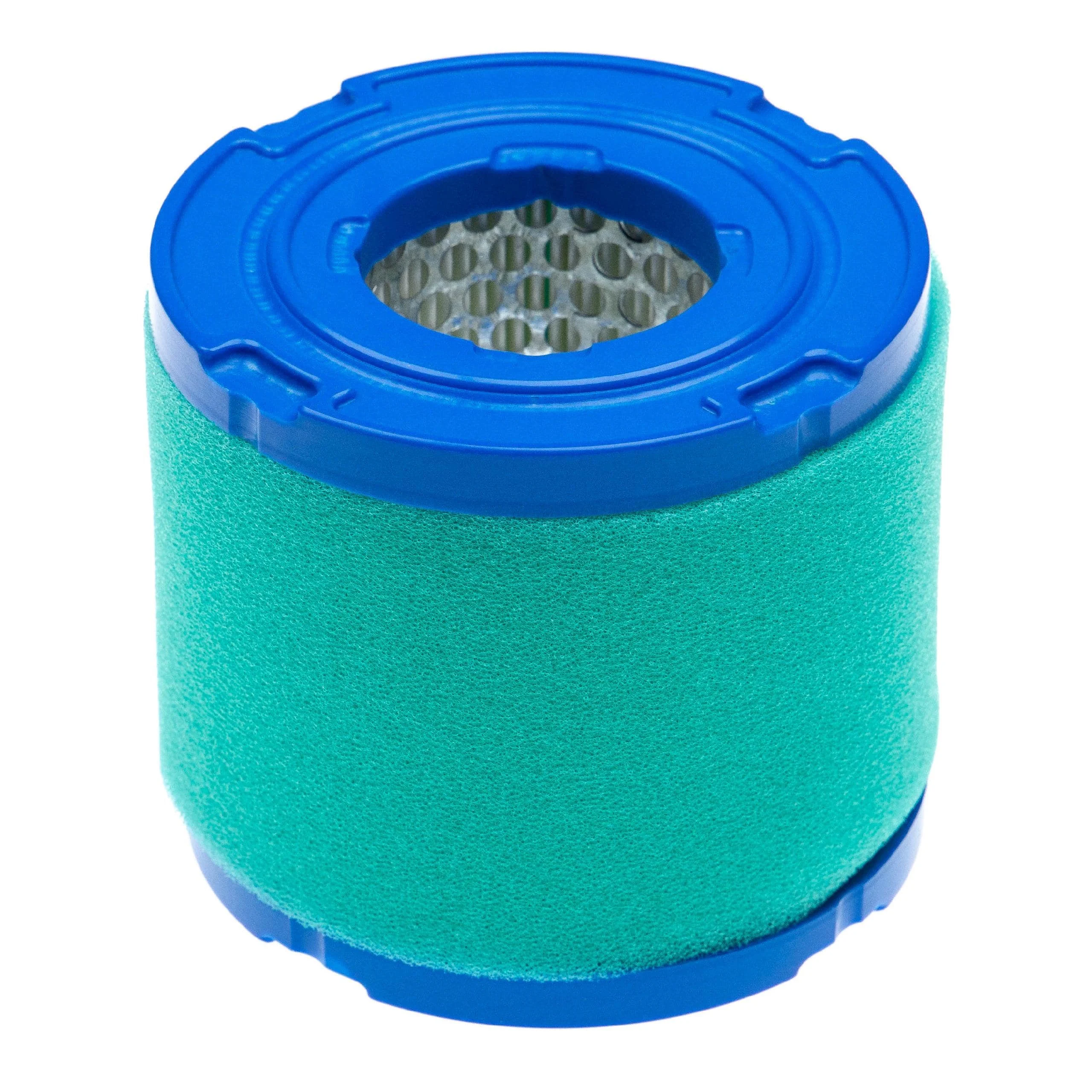 filtre mousse, filtre papier remplace Briggs & Stratton 393957, 390930, 393957S, 271794S pour motoculteur - Accessoires pour outils