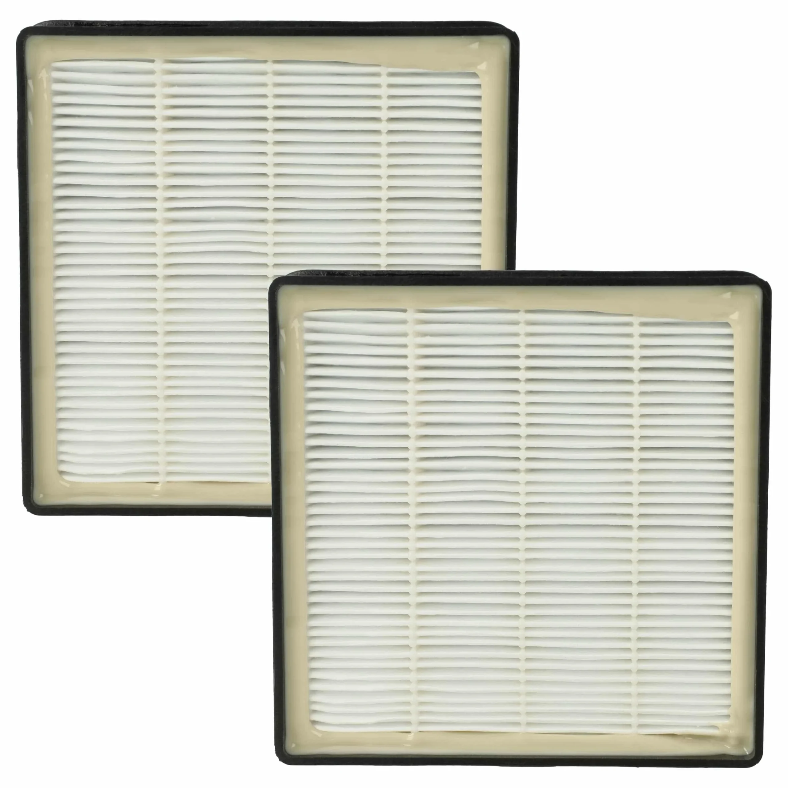 2x Filtres remplace Rowenta 2210016094, RS-RT3186 pour aspirateur - filtre HEPA