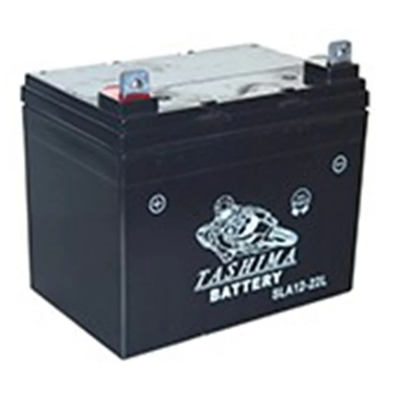 Batterie 100% étanche – 12V – 22A – NH1222L - Promos