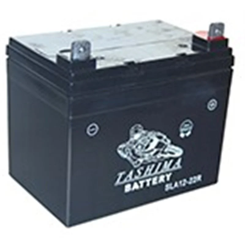 Batterie 100% étanche – 12V – 22A – NH1222R - Promos