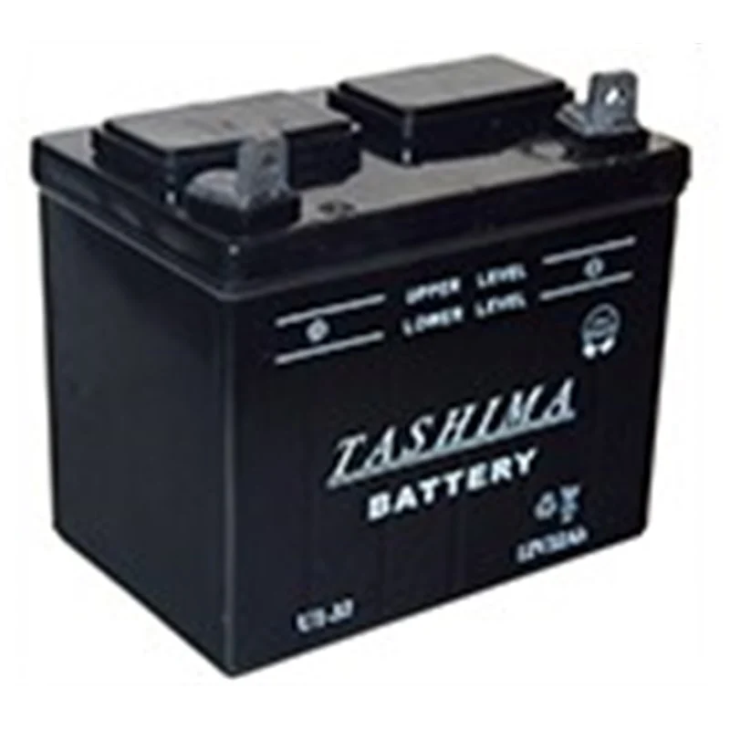 Batterie Plomb Acide pour tondeuse autoportée – U1L32 - Promos