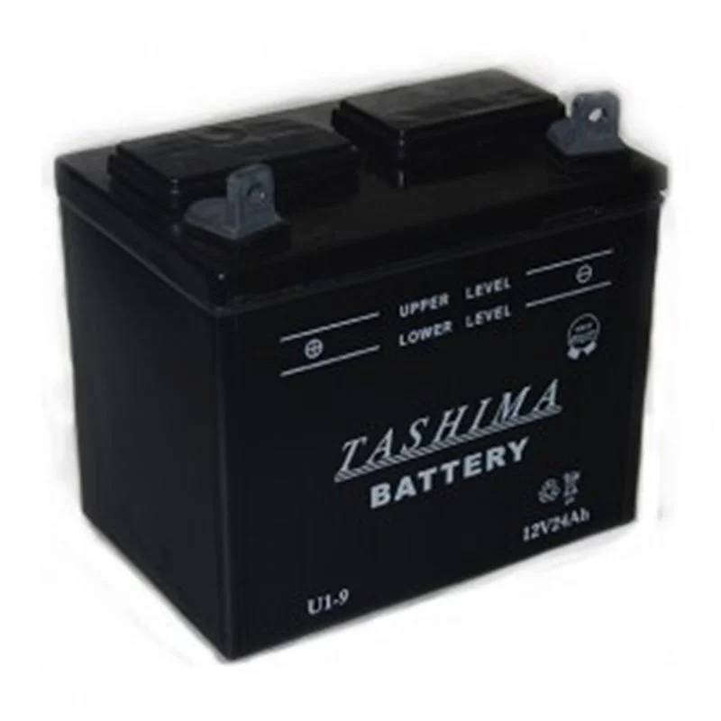 Batterie Plomb Acide pour tondeuse – U1L9 - Promos