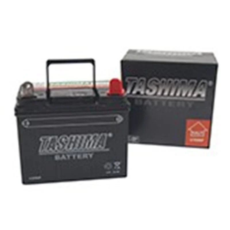 Batterie pour tondeuse chargée prête à l’emploi – 12V – 28A – U1R9MF - Promos