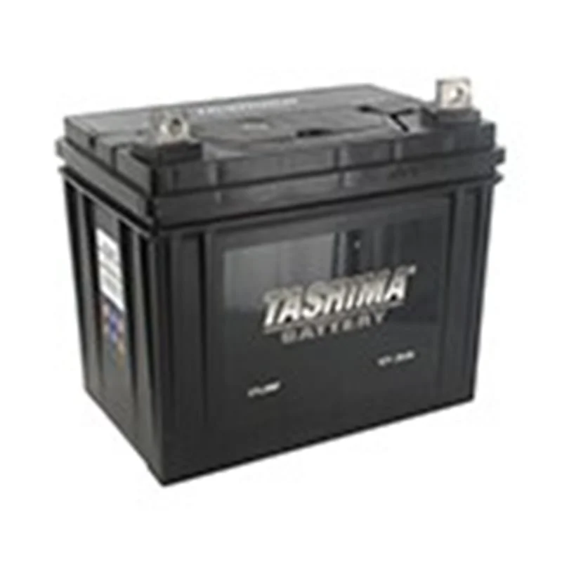 Batterie pour tondeuse chargée prête à l’emploi – 12V – 32A – U1L32MF - Promos