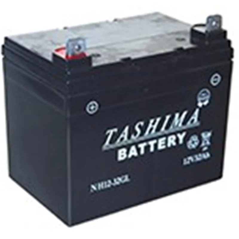 Batterie pour tondeuse étanche – 12V – 32A – NH1232L - Promos