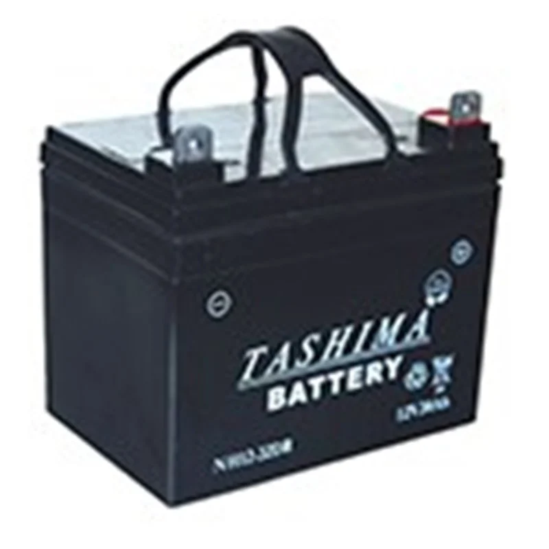 Batterie pour tondeuse étanche – 12V – 32A – NH1232R - Promos