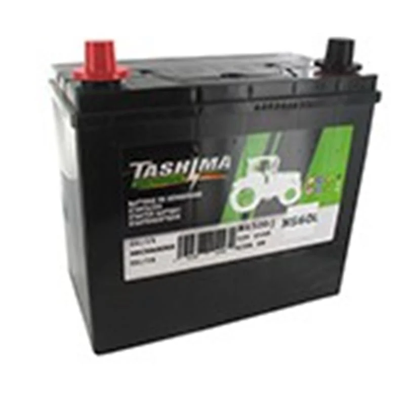 Batterie sans entretien pour tondeuse autoportée – 45A 12V – NS60L - Promos