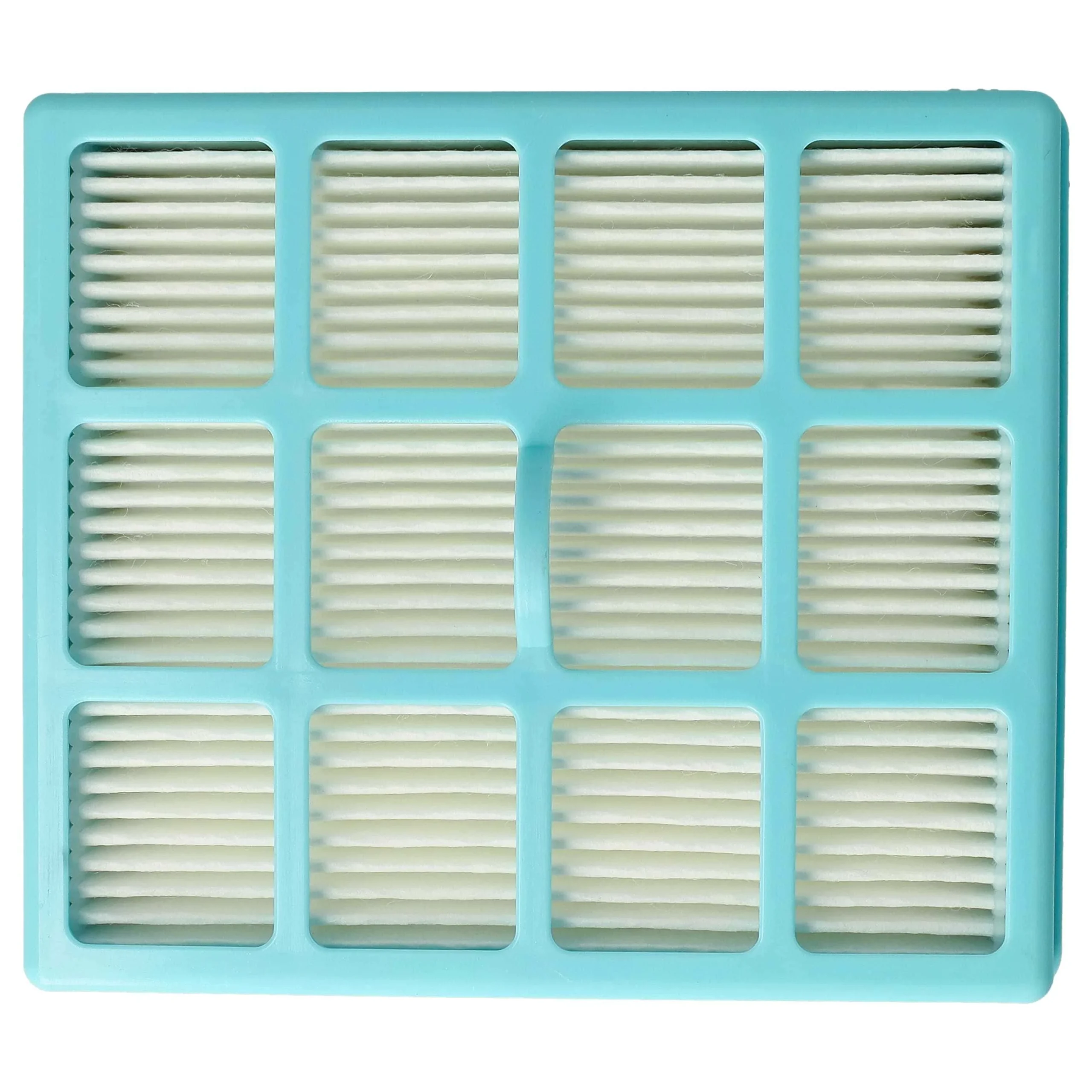 Filtre remplace Philips CRP495, CP0259/01, 432200493941 pour aspirateur - filtre HEPA