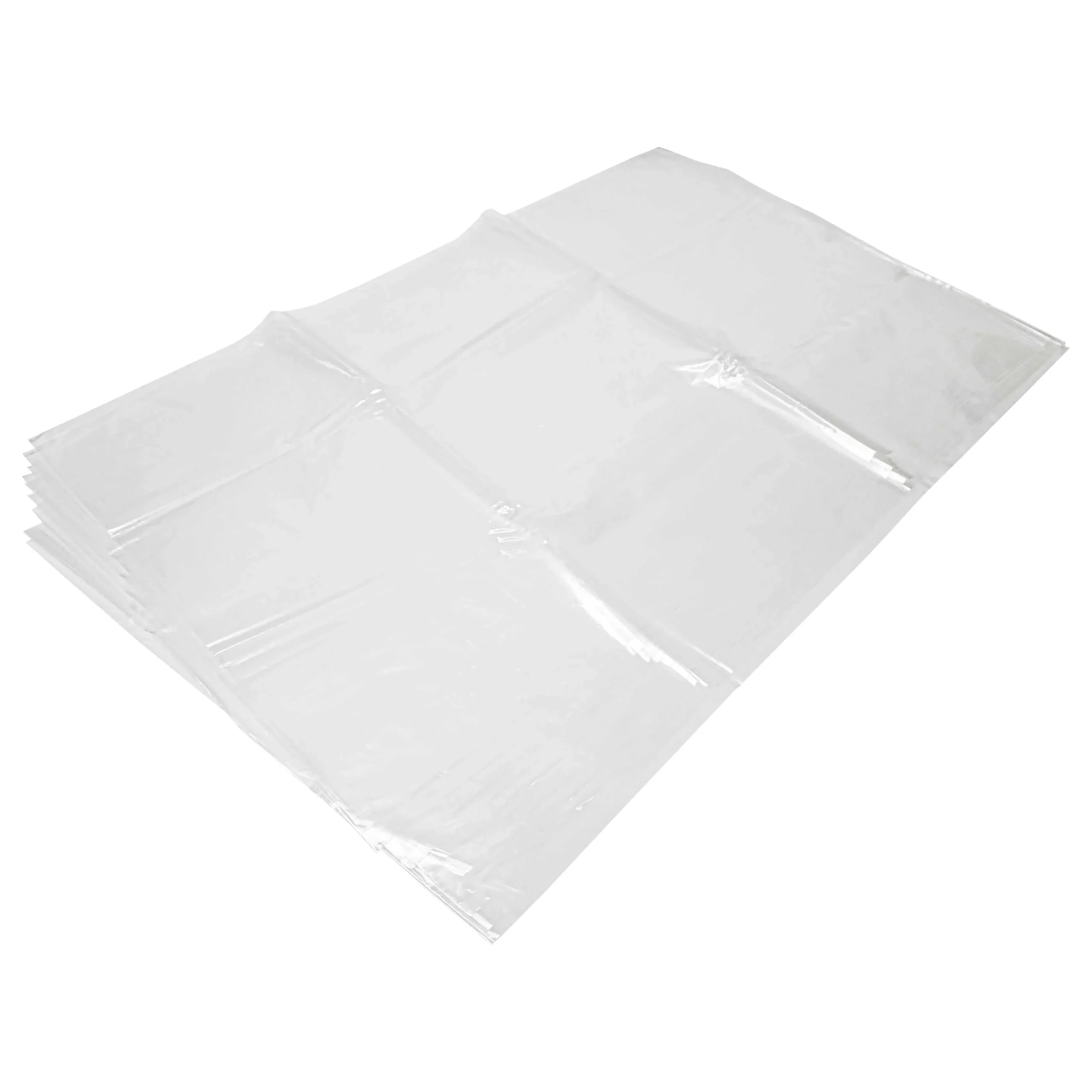 10x Sac remplace Kärcher 2.884-358.0 pour aspirateur Kärcher - plastique