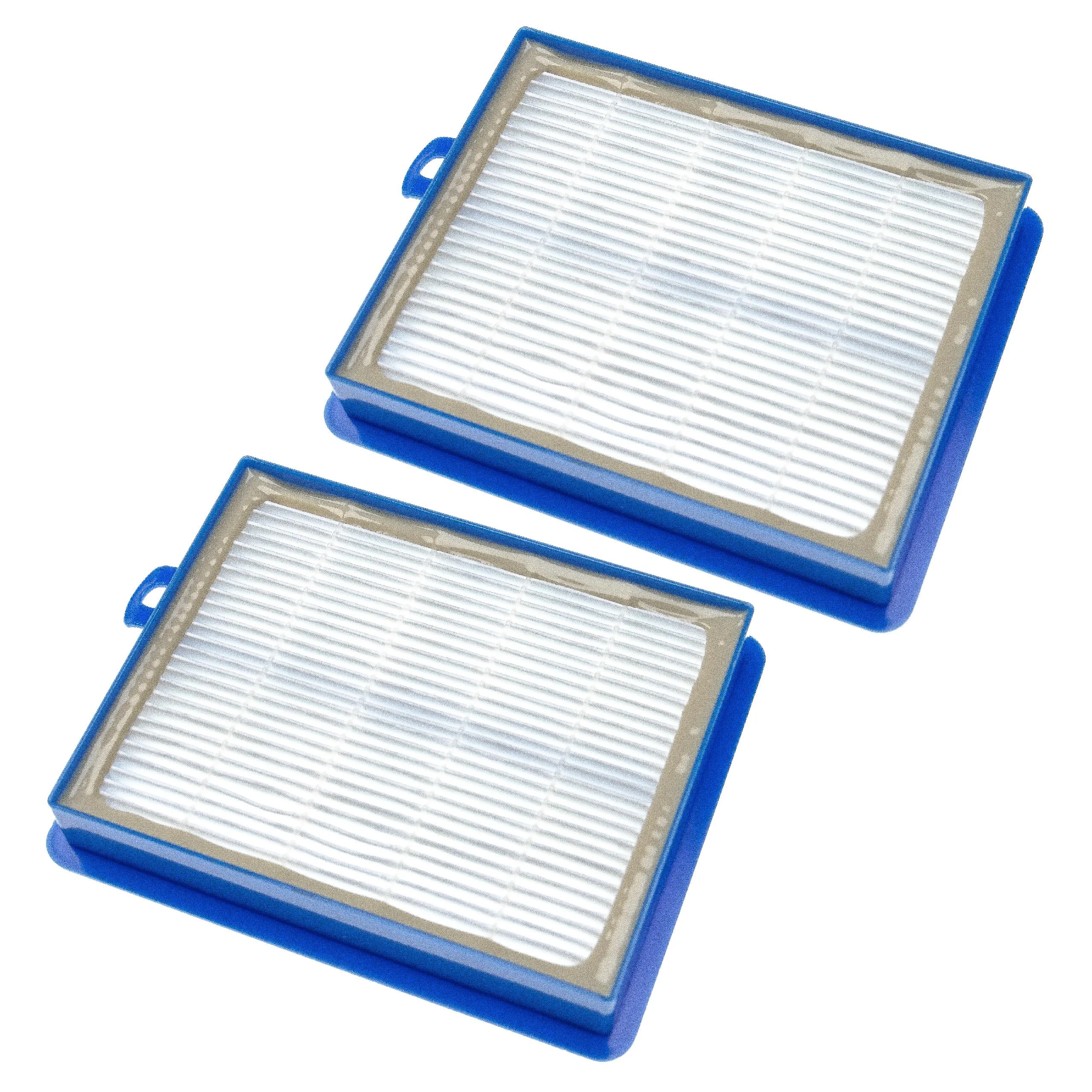 2x Filtres remplace AEF13W, H13, AEF 13 W pour aspirateur - filtre HEPA HEPA 13