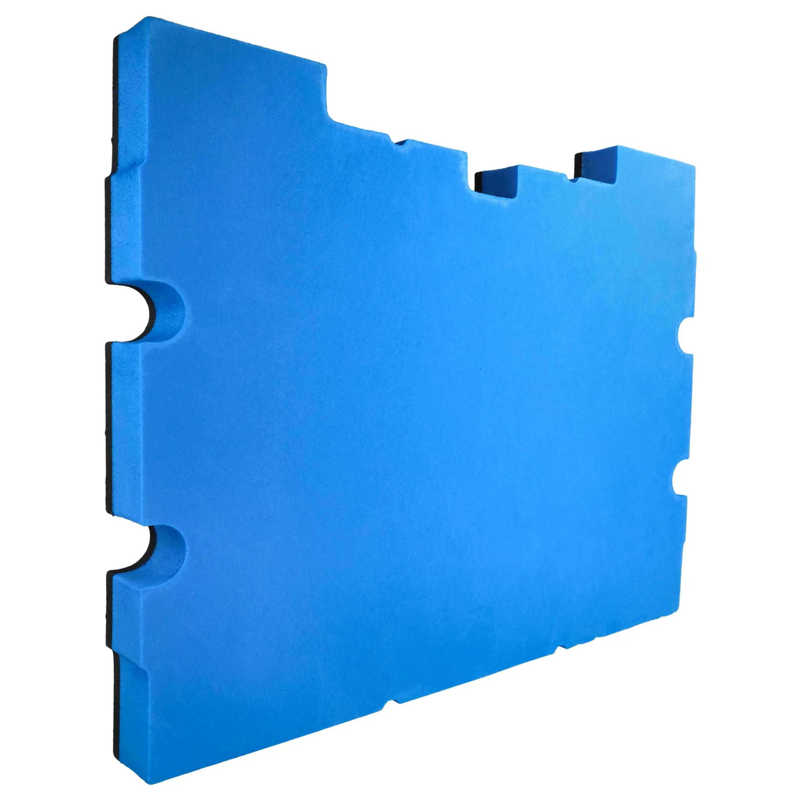 Fond de rangement pour caisse à outils Stanley, Dewalt TSTAK III DWST1-70705 - mousse rigide