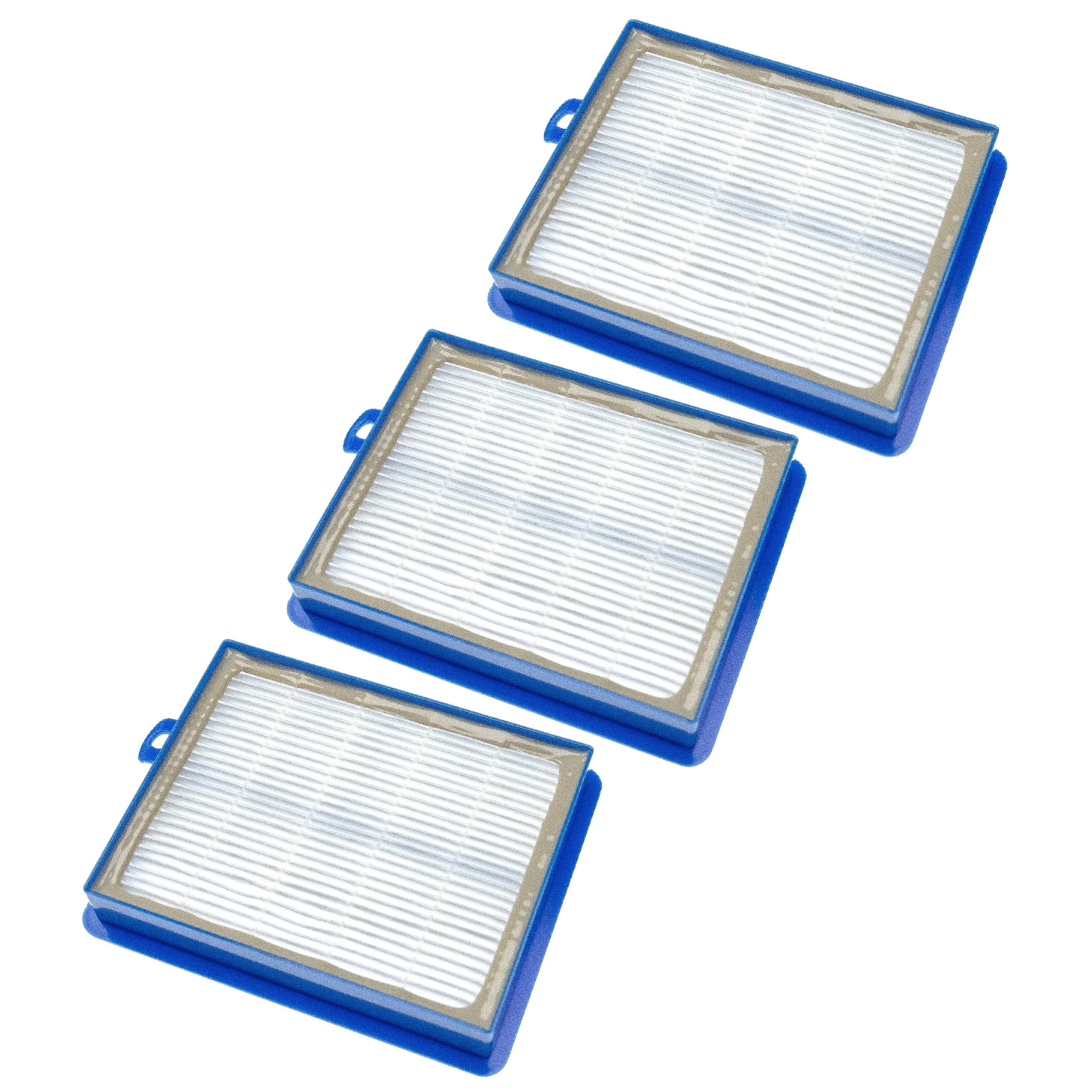 3x Filtres remplace AEF13W, H13, AEF 13 W pour aspirateur - filtre HEPA HEPA 13