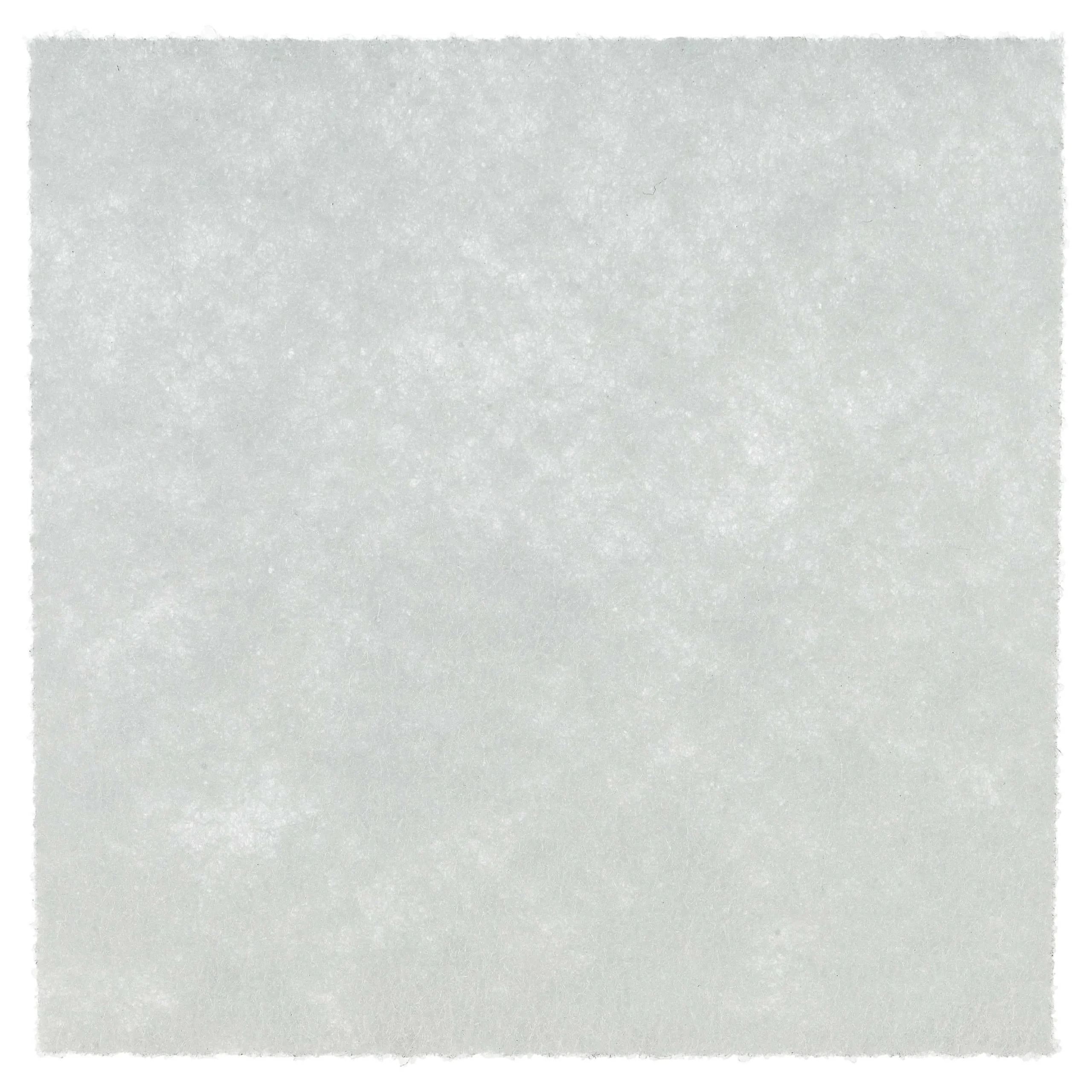 Filtre remplace Philips CP0537/01, 432200494501 pour aspirateur - filtre protection moteur, 7 x 9,6 cm