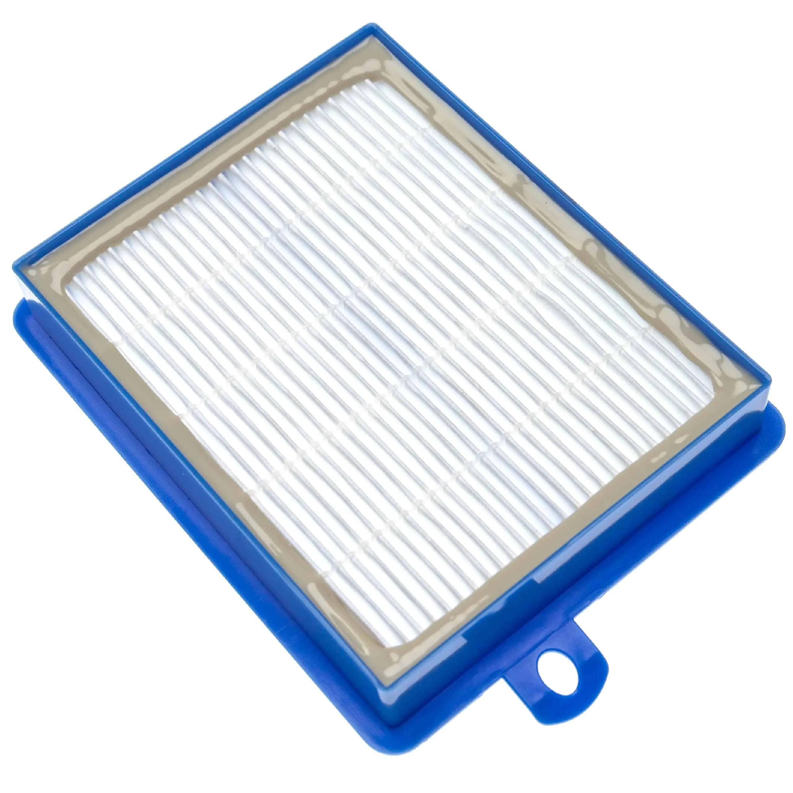 Filtre remplace AEF13W, H13, AEF 13 W pour aspirateur - Filtre de rechange HEPA 13