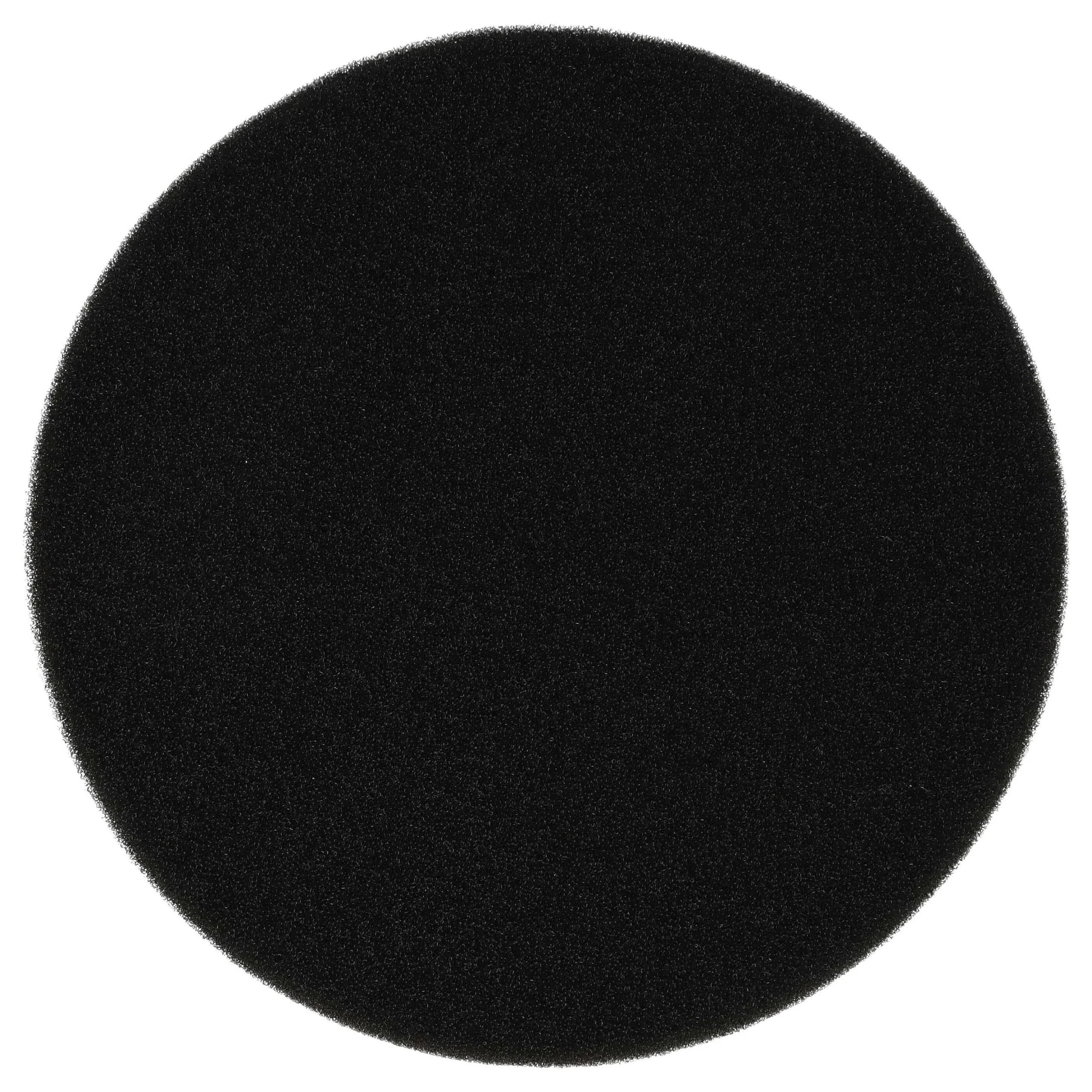 Filtre remplace Rowenta RS-RH5194 pour aspirateur - filtre en mousse