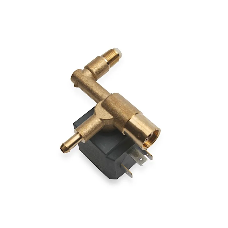 Électrovanne pour centrale vapeur Calor Rowenta - CS-00097843