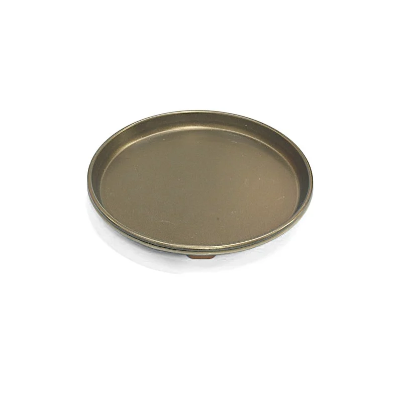 Plat Crisp (Diam. 250 mm) pour Micro-ondes - 481931018539