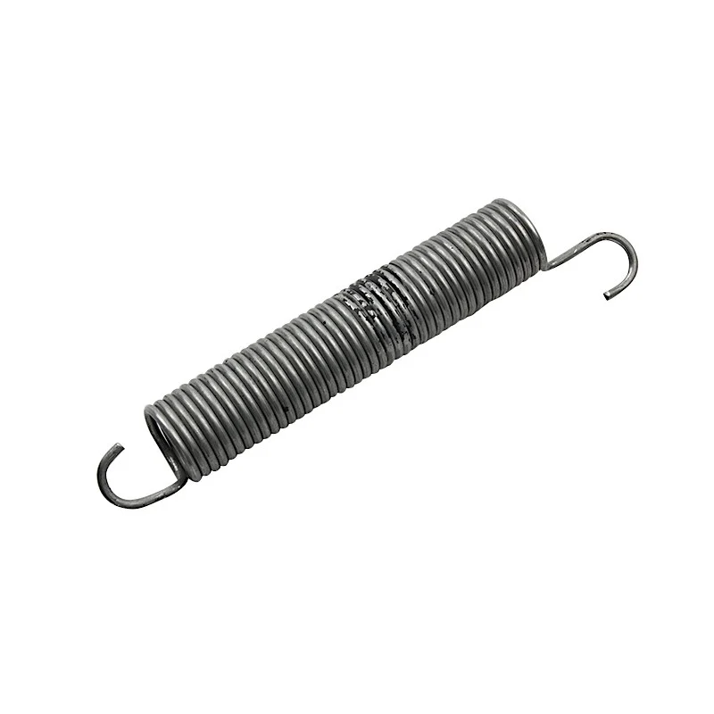Ressort de porte pour lave-vaisselle Beko Listo Oceanic - C00912656