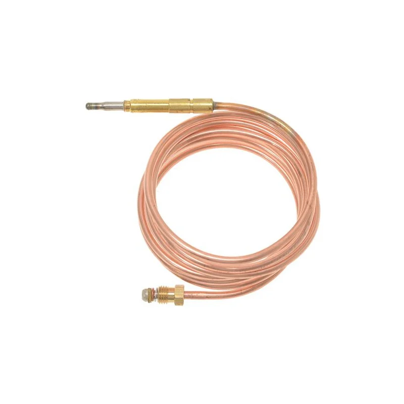 THERMOCOUPLE SIT M8x1 1500 mm-8003440032