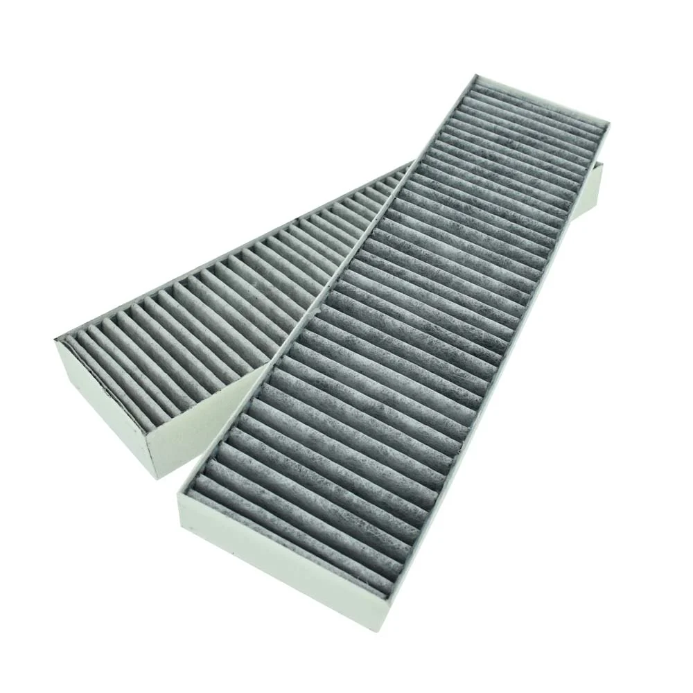 Filtres à charbon (2pcs) Beko pour HIXI64700 / HIXI84700 / 165265001 - PMS