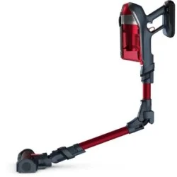 ASPIRATEUR BALAI ROWENTA RH9890WO